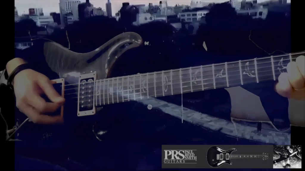 PRS Custom 24 LUNA SEA I for You Cover